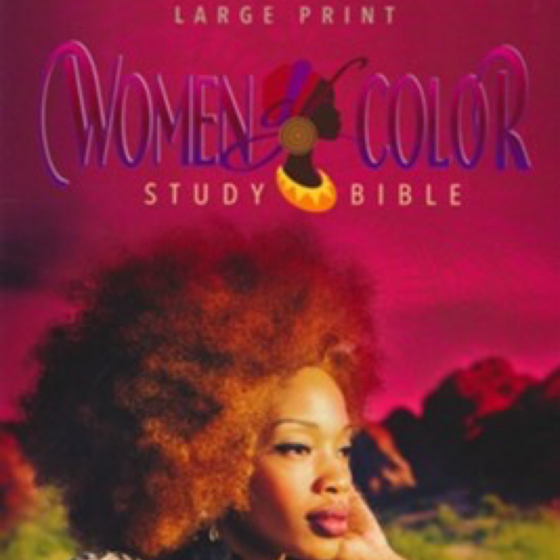 KJV Women of Color Study Bible/Large Print- Hardcover | Vision Christian  Books & Boutique